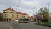 Plze-Slovany,konen .1 Vario .336,29.dubna 2012