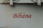 Bbna-810 349