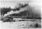 5) Lokomotiva Liesl (Jung 27/1887) ? na evtnsk lesn drze. v roce 1918.