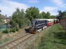 Odjezd vlaku s T435.003 z Vlaimi do Beneova /ppoj k parnmu vlaku/  (29.8.2015)