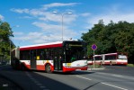 Autobusy nhradn dopravy na Borech