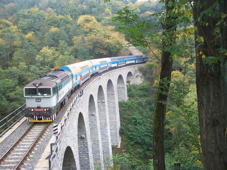 754 031-3 Viadukt ampach (5.10.2014) - Os 9058