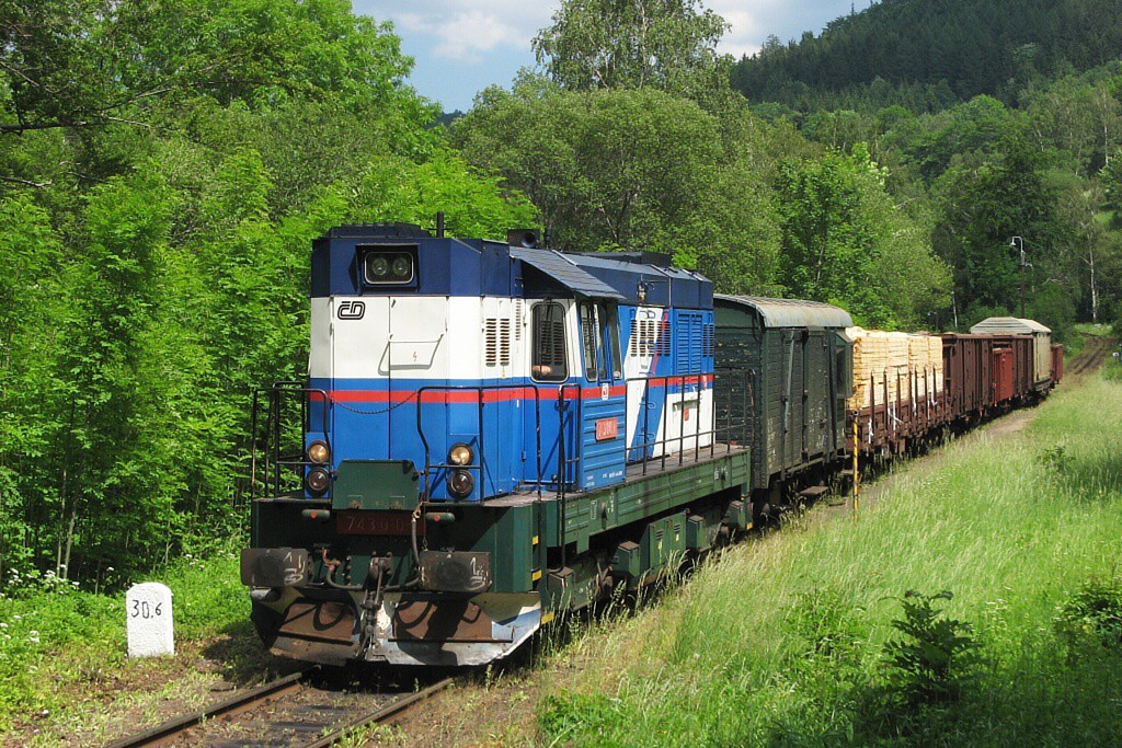 743.010 s nkl.vlakem v Dolnm Polubnm 8.6.2007