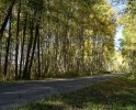 Tento obr�zek
