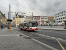 Tento obr�zek