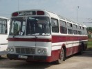 Tento obr�zek