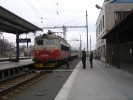 Tento obr�zek