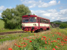 810 325-1 Krup� 30.5.2025