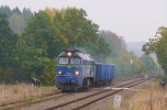 Scinawka Srednia : ST44-1238 s nkladnm vlakem z Klodzka 