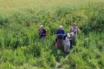 pod Byst�ic� n.P., 7.7.