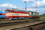 Tento obr�zek