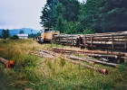 Nkladn vlak s lok. TU 6A - 0986 pijel do km 5 do msta vykldky pobl obce Luhy