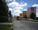 s�dli�t� Vajgar