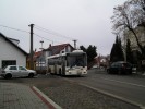 �ekanice, Na vyhl�dce, 1.3.2013