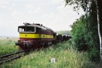 750.326 se v nkl. vlaku od atce do Rakovnka, bl k Lun, 29.6.2003