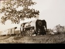475.104 u Tnit (10/1972)