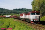 751.216 + 186 - Hodkovice n/Moh 14.5.2004