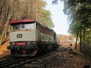 749 107- os.9063 - Jlov u Prahy - 17.10.2010.