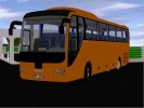 Man Lion�s Coach