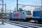 LOTOS - Bohum�n