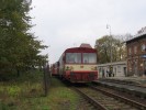 Tento obr�zek