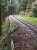 60 promil ? Stoup�n� tomu odhadem odpov�dalo.