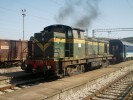 Dieselov lokomotiva pistavila vlak 436 do Novho Sadu a Subotice ji 2 hodiny ped odjezdem
