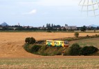 Os 16431 tamt�