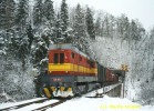 Vlast�jovice 25.1.05