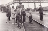 pion��i 1963