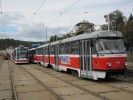 1114 u plotu
