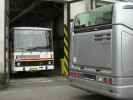 Tento obr�zek