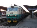 EX 524