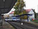 Tento obrzek