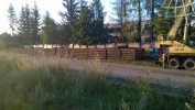 Tento obr�zek