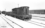T669.0084 Nov Sedlo u L. 7.1.1981