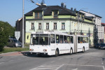 Tento obr�zek