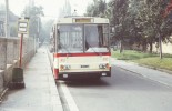 Holom�� (4.7.1988)