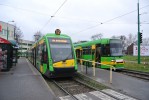 Tramino vs. RT6