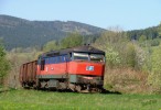 Tento obr�zek