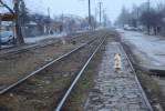 Tento obr�zek
