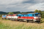 751 316 + 749 187-1 + 749 018_-_29.08.2010-_-SOKV esk Budjovice - st.Bratkovice_Lv 47 550.