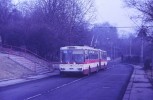 V�z 509 tamt�.