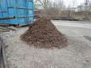 Mraveni�t� z drobn�ho kolejiva