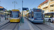 Setkn tramvaje a vlakotramvaje ped ndram v Szegedu