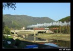 Tento obr�zek