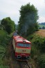 749 162 na postrku, Kout na �umav�-Starec, 26.7.2014