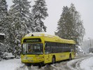 505 Broumovsk�