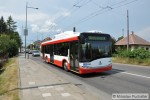 Ev. �. 304 (�koda 26 Tr Solaris) v ulici Krnovsk�.