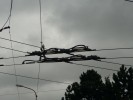 Trocha nostalgie, v�imn�te si opot�eben� izola�n�ch li�t.